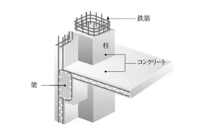 Image Illust