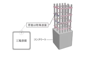 Image Illust