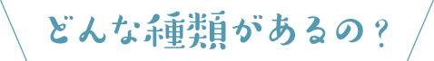 どんな種類があるの？