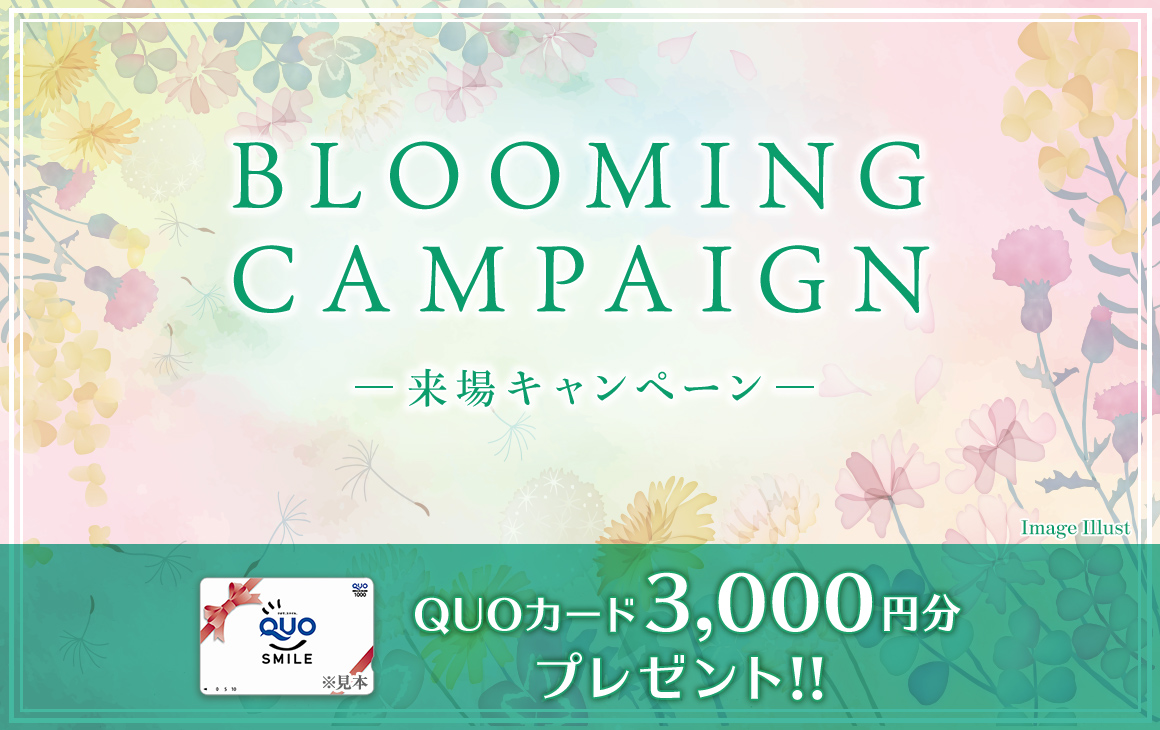 CHRISTMAS CAMPAIGN 来場キャンペーン QUOカード3,000円分プレゼント