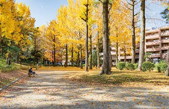 狭間公園の写真