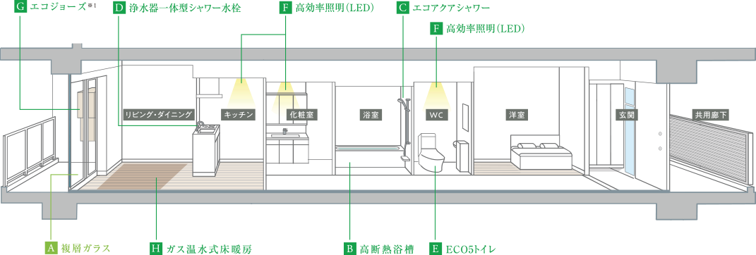 Image Illust
